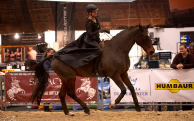 Hillerød Horseshow