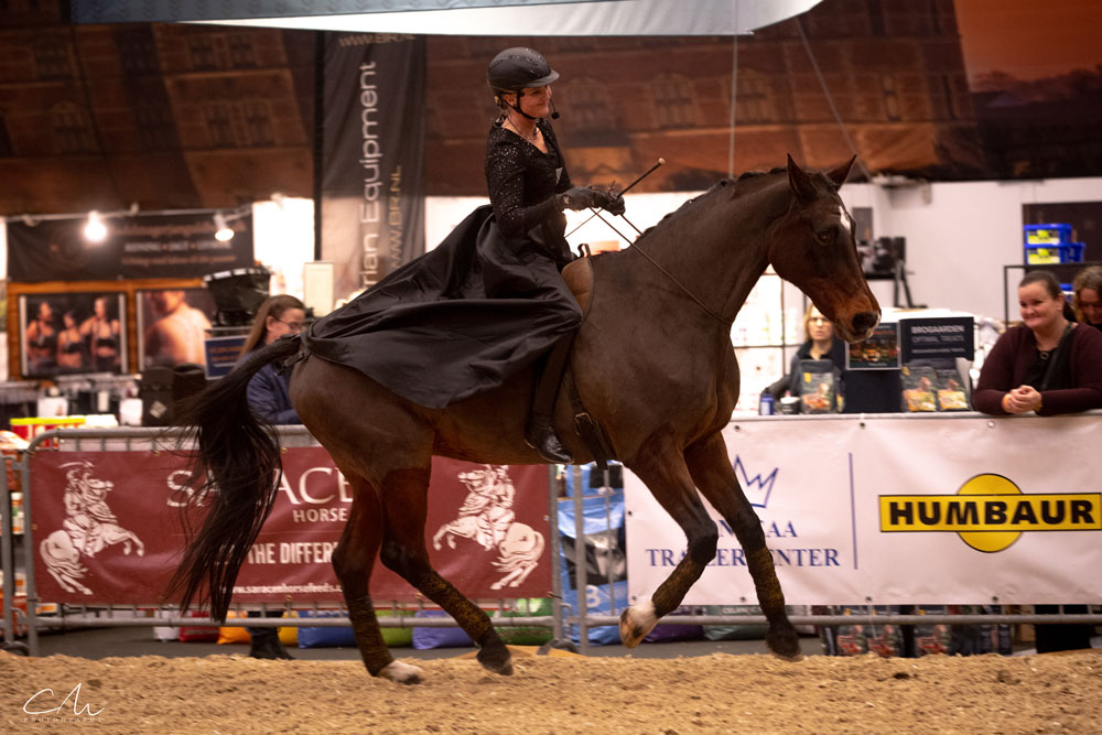 Hillerød Horseshow