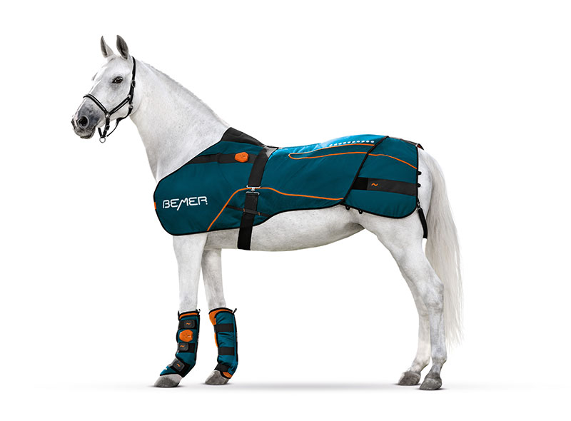 Bemer horse set